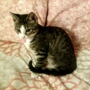 Meet your Posher, Michelle.